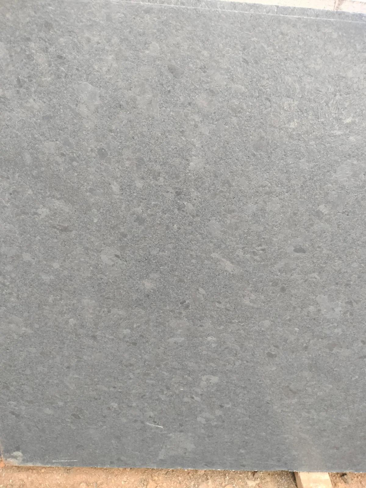 Steel Gray Lapothra — image 1